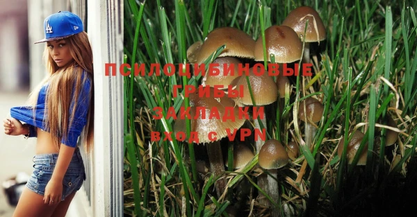 мескалин Вязники
