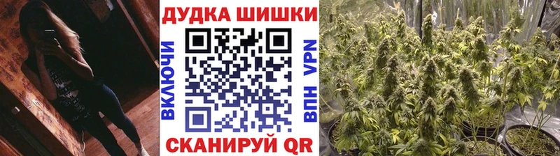 цена Дмитровск Канабис семена